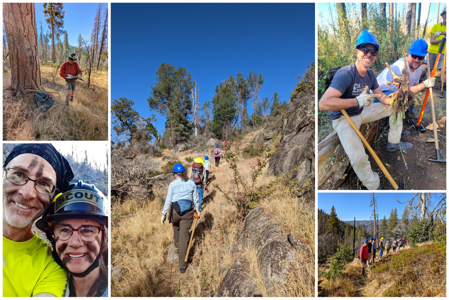 Volunteering in Yosemite with Mariposa Trails